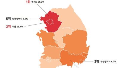 강남구 30대 여성, ‘전국구’ 온라인 쇼퍼홀릭