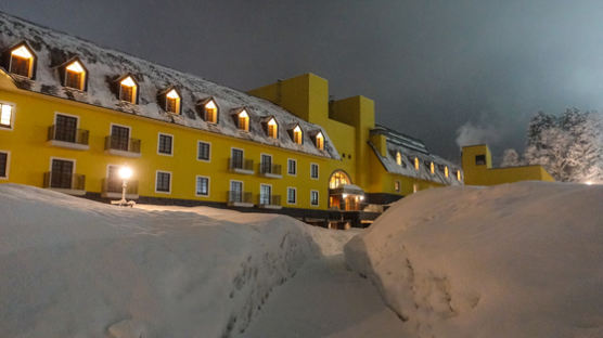 [week&] 올겨울 쌓인 눈 5m, ‘파우더 스키’ 성지 된 니가타