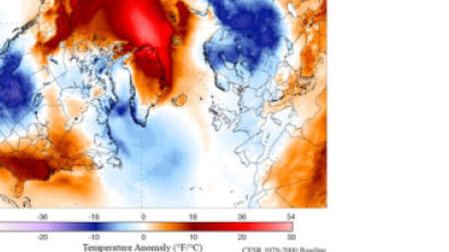 북극곰 어떡해…북극 2월, 가장 따뜻했다