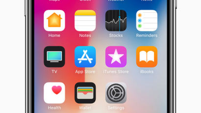 “애플, 올 가을 ‘패블릿족’ 겨냥한 대형 아이폰 출시”