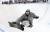 호산 스님이 지난 2008년 하프파이프 슬로프에서 묘기를 선보이는 모습. 그는 ‘달마오픈’ 대회를 15년째 열고 있다. [연합뉴스]