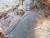 지난 1일 지리산 구룡계곡 일대에서 북방산개구리의 첫 산란이 확인됐다. [사진 국립공원관리공단] 