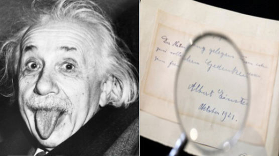 아인슈타인이 20살 어린 여자 동료에게 보낸 '러브레터' 