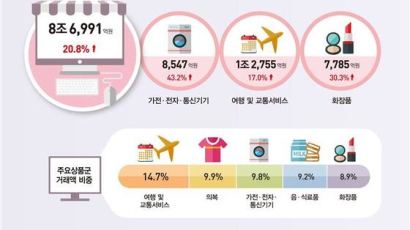 미세먼지·한파로 ‘집콕 쇼핑’ 증가…1월 온라인쇼핑 20% ↑