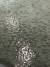 인공 부화해 수조에서 크고 있는 새끼 연어. [사진 태화강 생태관]