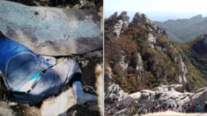 산에서 칡 캐던 60대, 바위에 깔려 하루 만에 구조된 사연 