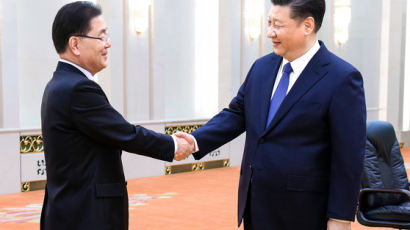 시진핑 “남북 - 북·미 정상회담 적극 지지”