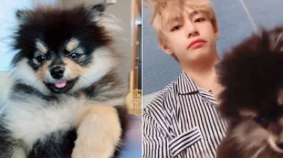 How BTS' V Treats His Puppy Yeontan