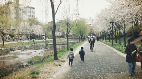 [더,오래 시 한수] 성내천 둘레길