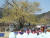 전남 구례군 주민들이 산동면 계척마을의 산수유 시목(始木) 앞에서 풍년제를 지내고 있다. [사진 구례군]