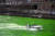 성 패트릭 데이인 17일(현지시간) 미국 시카고강이 녹색으로 물들어 있다. [AP=연합뉴스]