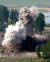 2008년 6월 27일 오후 5시5분 북한은 영변의 냉각탑을 폭파했다. [AP·신화사] 