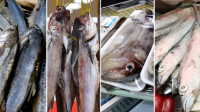 고등어·명태·오징어·갈치, 가격 절반 이상 유통비 