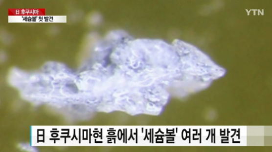 일본 후쿠시마 강에서 방사성물질 '세슘볼' 발견
