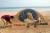 호킹 박사를 추모하는 모래 조형물을 만든 인도인. [EPA=연합뉴스]