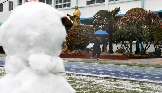 춘분인 21일 부산 기장군 기장읍 용암초등학교 운동장에 학생들이 만든 눈사람이 봄꽃과 대조된 모습을 보이고 있다. 이날 전국이 강풍을 동반한 비 또는 눈이 내려 쌀쌀한 봄 날씨를 보였다. [뉴스1]