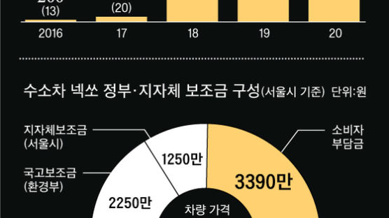 하루 733대 팔린 수소차, 올해 보조금 예산 240대