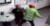 아파트 입주민이 자신의 요구대로 아파트 현수막을 제작하지 않았다며 여성 관리사무소장과 관리과장을 폭행해 경찰이 수사에 나섰다. [연합뉴스]