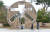 충북 청주 미동산수목원 광장에 조성된 나무 목(木)자 모양의 조형물. 프리랜서 김성태