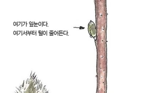 [소년중앙]황경택 쌤과 자연이랑 놀자 1.겨울눈
