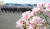 해군사관학교 제72기 사관생도 졸업및 임관식이 13일 경남 창원시 진해구 해군사관학교에서 봄꽃이 만발한 가운데 열렸다.송봉근 기자