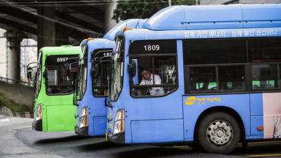 “초등학생은 시내버스 100원”
