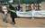 지난 27일 수도권대기환경청 직원들이 경기도 안산시 고려대학교 안산병원 앞에서 시민들에게 마스크를 나눠주며 대중교통 이용을 독려했다. 