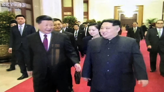 "우리관계는 '뿌리 깊은 나무'"...시진핑이 말하는 '특별한 우정'