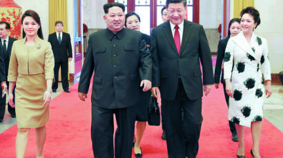 "시진핑 7월 말 북한 간다"…한국전쟁 정전 65주년 기간