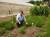 이스라엘 한 농업기술 회사인 네타핌 직원이 ‘점적 관수’를 설명하고 있다. 바닥에 설치된 검은 호스의 미세한 구멍을 통해 물방울이 나오면 이를 이용해 작물을 재배할 수 있다. [네타핌 홈페이지]  