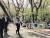 아베 신조 일본 총리가 1일 벚꽃 인파가 몰린 도쿄 요요기공원을 걷고 있다.[지지통신 제공] 