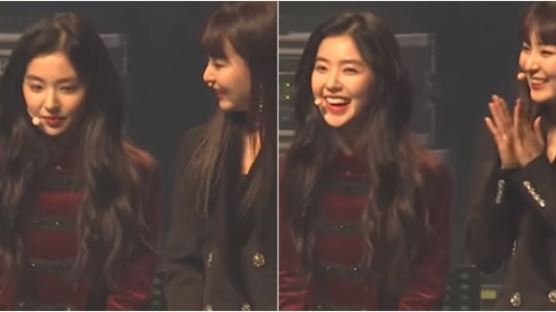 "I'm a bit out of breath…" How the N. Korean Audience Reacted to IRENE of RED VELVET