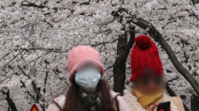 벚꽃축제에 때아닌 패딩·목도리·털모자 행렬…서울 일부 눈까지 내려