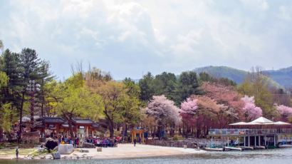 청정자연 북한강 남이섬…안전한 봄나들이 즐기기에 제격