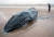 한 주민이 해변에 올라온 어린 혹등고래를 바라보고 있다. [신화통신=연합뉴스]