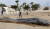 지난 2월말 스페인 남쪽의 무르시아 카보 데 팔로스(Cabo de Palos) 해안에서 죽은 채 발견된 향유고래. [Murcia Regional Government]