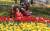 시민들이 화사한 튤립을 앞에 두고 기념 사진을 촬영하고 있다.
