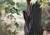 북한 황해도 크낙새 보호 증식 및 보호구역에 서식하는 크낙새(수컷). 북한에서는 크낙새를 ‘클락새’라 부른다. [사진 이일범 문화재전문위원]