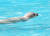 지난달 서울대공원에서 태어난 점박이물범이 수영을 하고 있다. [사진 서울대공원 제공] 