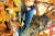 광릉숲 국립수목원 내 고목에 설치된 크낙새 모형. [중앙포토]