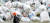 지난 6일 오후 서울 서초구 방배동의 한 재활용센터에 폐비닐이 수북히 쌓여 있다. 중국의 수입 중단과 고형연료 제조 사용에 문제가 생기면서 국내 재활용업체들이 쓰레기 수거를 기피한 탓이다. [뉴스1]