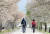 전남 구례군 ‘백의종군로’를 찾은 탐방객들이 벚꽃이 만개한 서시천 뚝방길을 걷고 있다. 프리랜서 장정필