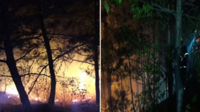 양양 산불, 3㏊ 태우고 진화 완료…DMZ 북측 산불은 진화 중 