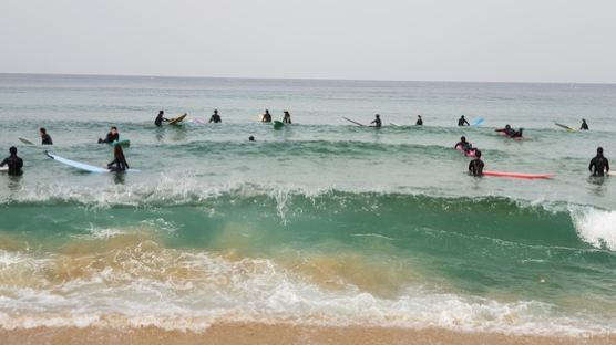 [굿모닝 내셔널]‘파도 위를 자유롭게 걷다’ 서핑 성지 양양 죽도 해변