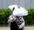 전국 대부분 지역에 비가 내린 23일 오전 서울 외교부 인근에서 한 시민이 갑자기 불어온 돌풍에 비닐이 거의 다 벗겨진 우산을 잡고 건널목을 건너고 있다. 우상조 기자