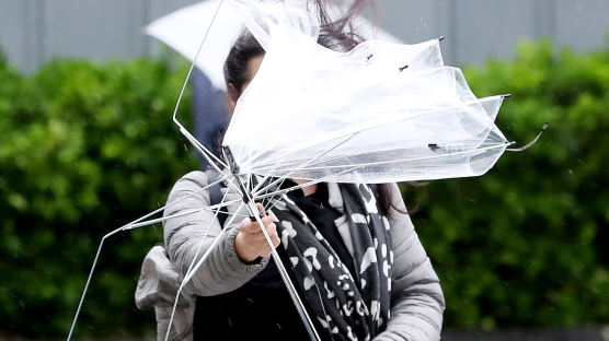 [서소문사진관]변덕스런 비바람에 우산 뒤집어지고 머리카락 승천!