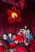 붉은 쿠션과 탯줄을 상징하는 줄로 인체의 자궁을 표현한, 자궁방에 모인 학생기자들. (왼쪽부터) 양유찬·김동률·김줄기·노윤서·손채은·이지윤 학생기자.