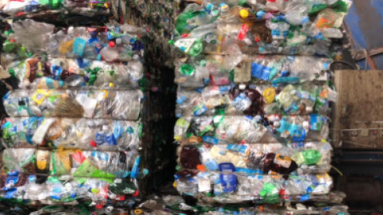 환경부, 페트병·플라스틱 용기 재활용 안 되는 이유 찾는다
