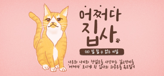 [어쩌다 집사] #8. 내가 고양이 알러지라니! 내가 알러지라니! | 중앙일보