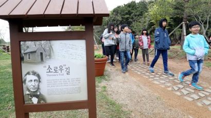 자연주의 철학자 ‘소로’의 지혜 1.3㎞ 산책길서 깨달아요